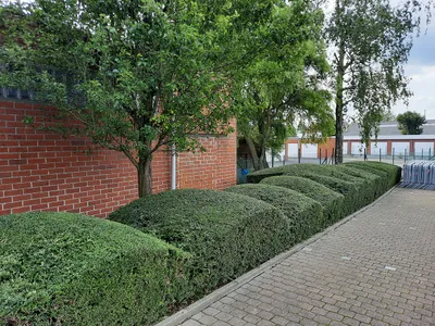 Gallery image 22